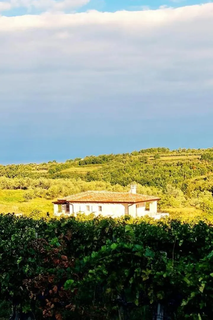 Villa Andolini Momjan