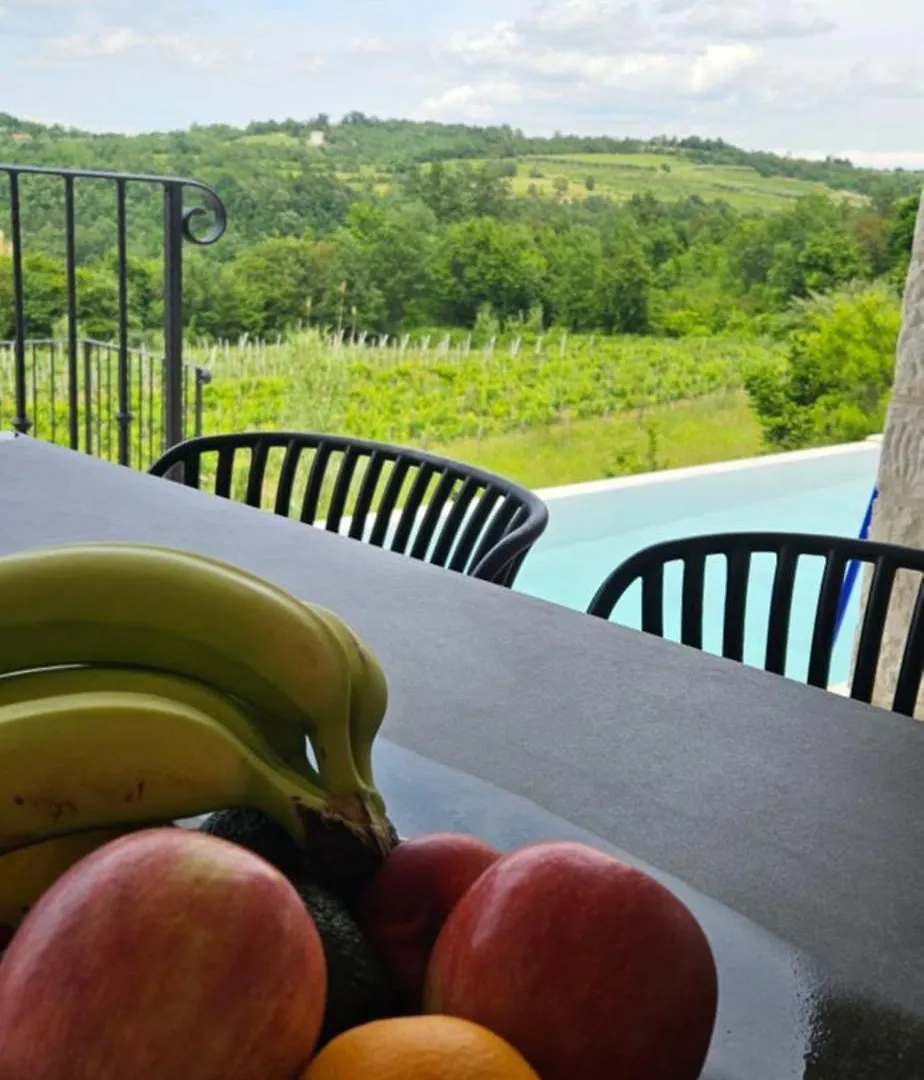 Villa Andolini Momjan